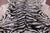 Tiger Animal Print Natural Cowhide Rug - X-Large 7' 5"H x 6' 6"W