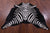 Zebra Animal Print Natural Cowhide Rug - Large 6' 9"H x 5' 9"W