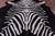 Zebra Animal Print Natural Cowhide Rug - Large 6' 9"H x 5' 9"W