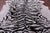 Tiger Animal Print Natural Cowhide Rug - XX-Large 7' 10"H x 6' 8"W