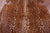 Gazelle Deer Animal Print Natural Cowhide Rug - XX-Large 7' 10"H x 5' 8"W