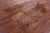 Gazelle Deer Animal Print Natural Cowhide Rug - XX-Large 7' 10"H x 5' 8"W