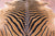 Zebra Animal Print Natural Cowhide Rug - XX-Large 8' 0"H x 6' 10"W