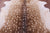 Deer Animal Print Natural Cowhide Rug - Large 6' 8"H x 6' 1"W