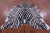 Zebra Animal Print Natural Cowhide Rug - X-Large 7' 7"H x 6' 5"W