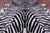 Zebra Animal Print Natural Cowhide Rug - X-Large 7' 7"H x 6' 5"W