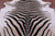Zebra Animal Print Natural Cowhide Rug - XX-Large 8' 0"H x 6' 8"W