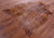 Gazelle Deer Animal Print Natural Cowhide Rug - X-Large 7' 2"H x 5' 8"W