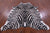 Zebra Animal Print Natural Cowhide Rug - XX-Large 7' 8"H x 6' 5"W