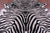 Zebra Animal Print Natural Cowhide Rug - XX-Large 7' 8"H x 6' 5"W