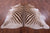 Zebra Animal Print Natural Cowhide Rug - X-Large 7' 4"H x 6' 6"W