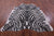 Zebra Animal Print Natural Cowhide Rug - XX-Large 7' 10"H x 6' 6"W