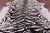 Tiger Animal Print Natural Cowhide Rug - X-Large 7' 1"H x 6' 5"W