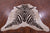 Zebra Animal Print Natural Cowhide Rug - X-Large 7' 4"H x 6' 6"W