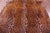 Gazelle Deer Animal Print Natural Cowhide Rug - XX-Large 7' 8"H x 5' 10"W