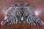 Zebra Animal Print Natural Cowhide Rug - X-Large 7' 1"H x 6' 2"W