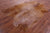 Gazelle Deer Animal Print Natural Cowhide Rug - XX-Large 7' 10"H x 5' 10"W