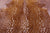 Gazelle Deer Animal Print Natural Cowhide Rug - X-Large 7' 0"H x 5' 10"W
