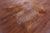 Gazelle Deer Animal Print Natural Cowhide Rug - X-Large 7' 0"H x 5' 10"W
