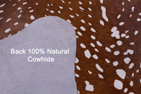 Thumbnail for Gazelle Deer Animal Print Natural Cowhide Rug - X-Large 7' 0