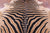 Zebra Animal Print Natural Cowhide Rug - XX-Large 7' 9"H x 6' 7"W