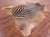 Zebra Animal Print Natural Cowhide Rug - XX-Large 7' 10"H x 6' 10"W