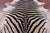 Animal Print Natural Cowhide Rug - XX-Large 7' 10"H x 6' 4"W