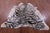 Tiger Animal Print Natural Cowhide Rug - X-Large 7' 5"H x 6' 5"W