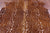 Gazelle Deer Animal Print Natural Cowhide Rug - X-Large 7' 7"H x 5' 10"W