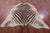 Zebra Animal Print Natural Cowhide Rug - XX-Large 7' 9"H x 6' 9"W