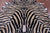 Zebra Animal Print Natural Cowhide Rug - X-Large 7' 4"H x 6' 5"W