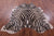 Zebra Animal Print Natural Cowhide Rug - XX-Large 8' 2"H x 6' 7"W