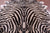 Zebra Animal Print Natural Cowhide Rug - XX-Large 8' 2"H x 6' 7"W