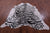 Tiger Animal Print Natural Cowhide Rug - XX-Large 7' 9"H x 6' 9"W