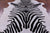 Animal Print Natural Cowhide Rug - X-Large 7' 4"H x 6' 3"W