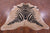 Zebra Animal Print Natural Cowhide Rug - XX-Large 8' 1"H x 6' 10"W