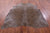 Leopard Animal Print Natural Cowhide Rug - X-Large 7' 5"H x 6' 4"W