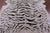 Tiger Animal Print Natural Cowhide Rug - X-Large 7' 7"H x 6' 6"W