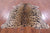 Cheetah Animal Print Natural Cowhide Rug - X-Large 7' 7"H x 6' 1"W