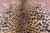 Cheetah Animal Print Natural Cowhide Rug - X-Large 7' 7"H x 6' 1"W