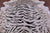 Tiger Animal Print Natural Cowhide Rug - X-Large 7' 5"H x 6' 7"W