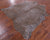 Leopard Animal Print Natural Cowhide Rug - Large 6' 8"H x 6' 2"W