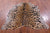 Cheetah Animal Print Natural Cowhide Rug - X-Large 7' 2"H x 5' 10"W