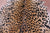 Cheetah Animal Print Natural Cowhide Rug - X-Large 7' 2"H x 5' 10"W