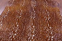 Thumbnail for Gazelle Deer Animal Print Natural Cowhide Rug - XX-Large 7' 9