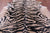 Tiger Animal Print Natural Cowhide Rug - X-Large 7' 4"H x 6' 5"W