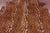 Gazelle Deer Animal Print Natural Cowhide Rug - X-Large 7' 1"H x 6' 0"W