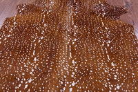 Thumbnail for Gazelle Deer Animal Print Natural Cowhide Rug - X-Large 7' 1