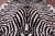 Zebra Animal Print Natural Cowhide Rug - X-Large 7' 3"H x 6' 9"W