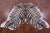 Zebra Animal Print Natural Cowhide Rug - XX-Large 8' 2"H x 7' 0"W